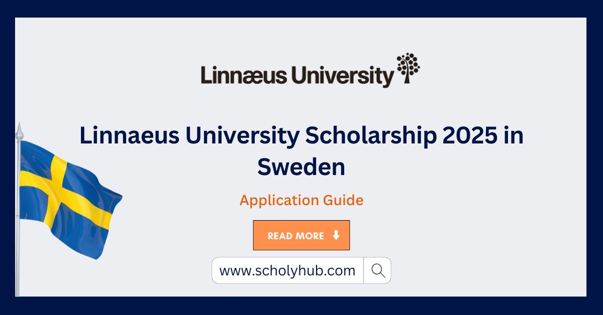 Linnaeus University Scholarship 2025 in Sweden