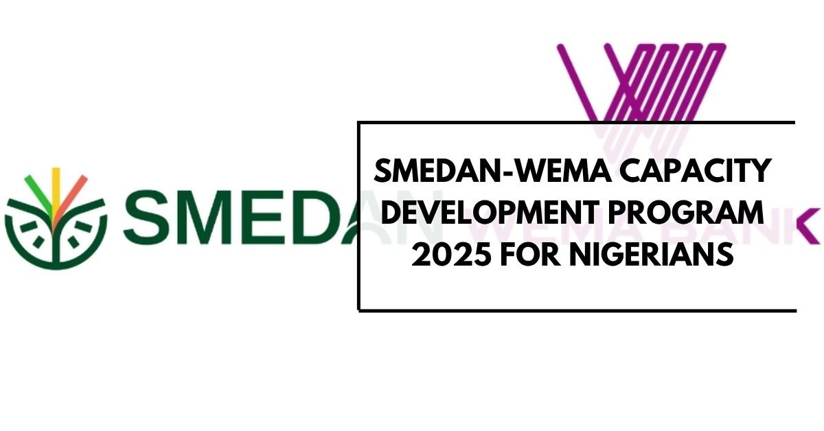 SMEDAN-Wema Capacity Development Program 2025 For Nigerians